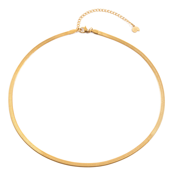 Collier Chaîne Serpent Homme