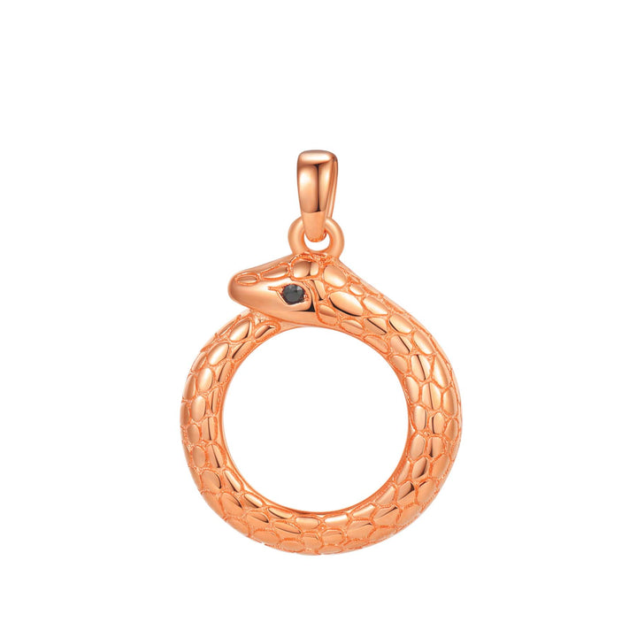 Collar Colgante Serpiente Uróboro Renovación Plata de Ley 925