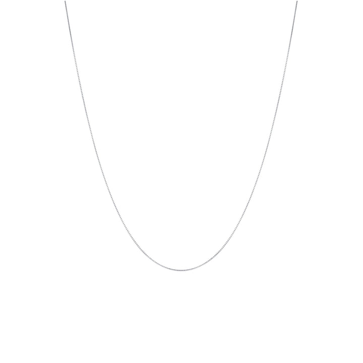 Fine Box chain necklace for men in silver, 925 sterling silver, on white