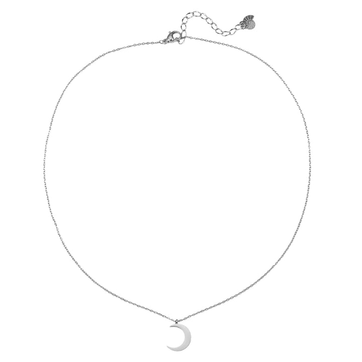 Collier Délicat Demi Lune Argent
