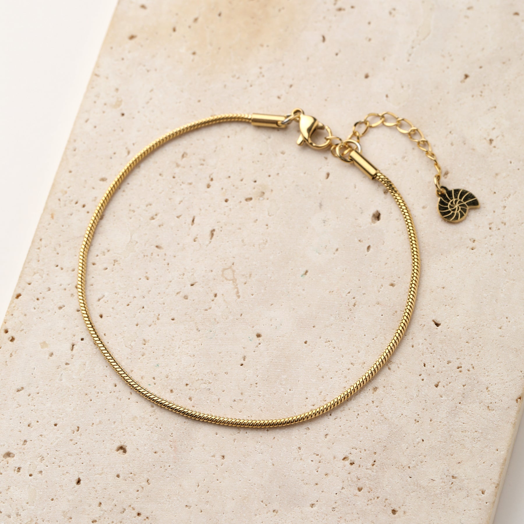 Round Snake Chain Anklet Gold