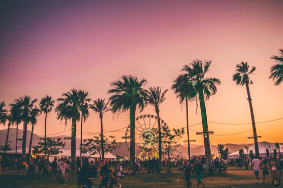 Coachella 2024 Ready: Pearl Huggies