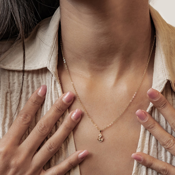 Collar Colgante Ancla Brillo Plata de Ley 925