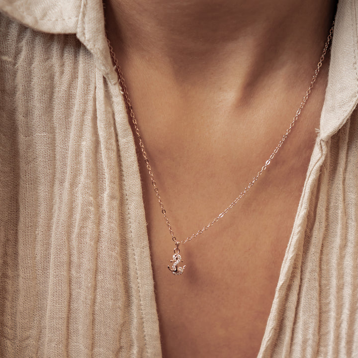Collar Colgante Ancla Brillo Plata de Ley 925