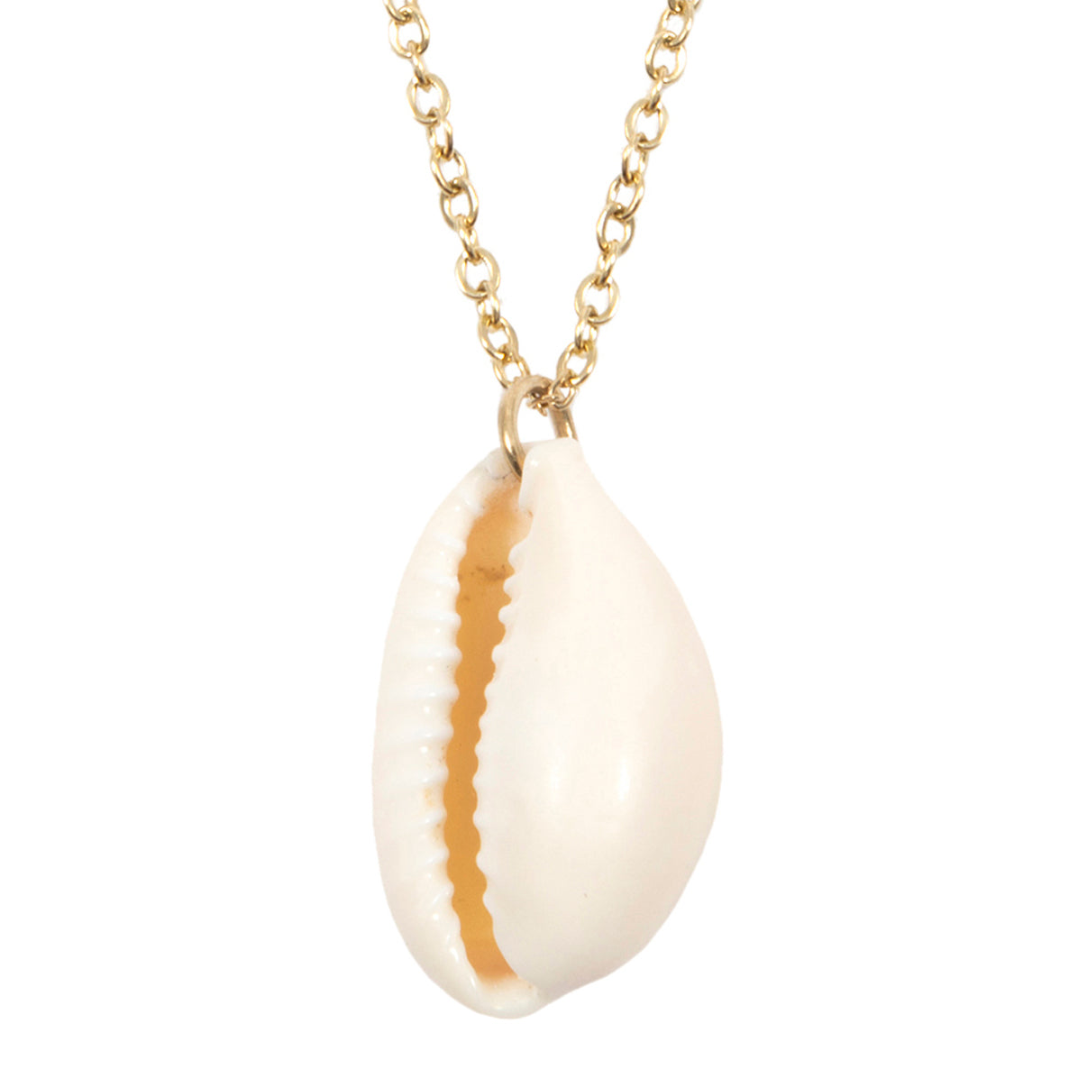 Sea Shell Pendant Necklace Gold