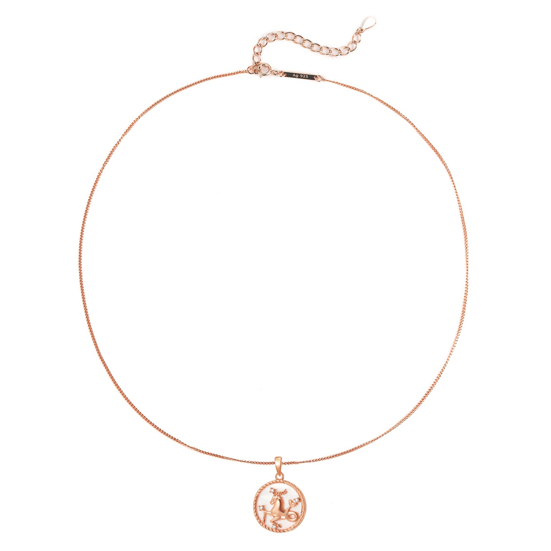 Collier pendentif zodiaque Capricorne