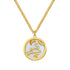 Collier Constellation Étoile Lion