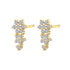 Pendientes Botón  Flor Trepadora Mini Plata de Ley 925