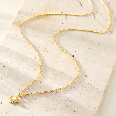 Collar Colgante Planeta Plata de Ley 925