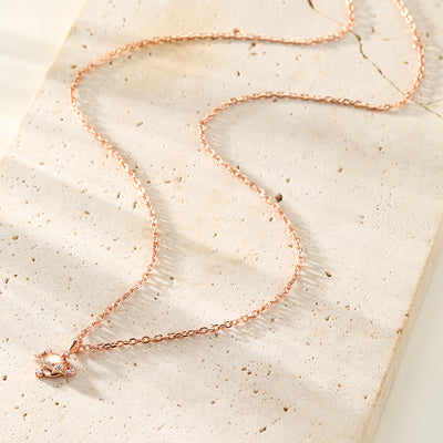 Collar Colgante Planeta Plata de Ley 925