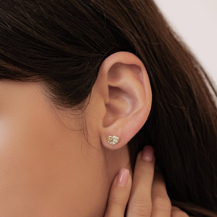 Pendientes Botón Concha Espiral Brillo Plata de Ley 925