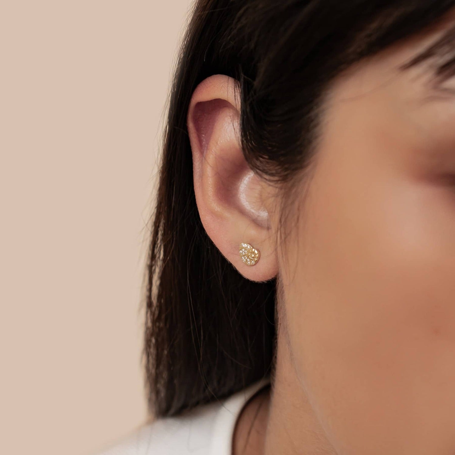 Shell Swirl Sparkle Stud Earrings Sterling Silver