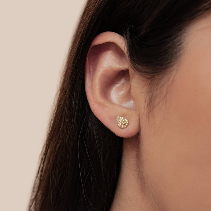 Pendientes Botón Concha Espiral Brillo Plata de Ley 925