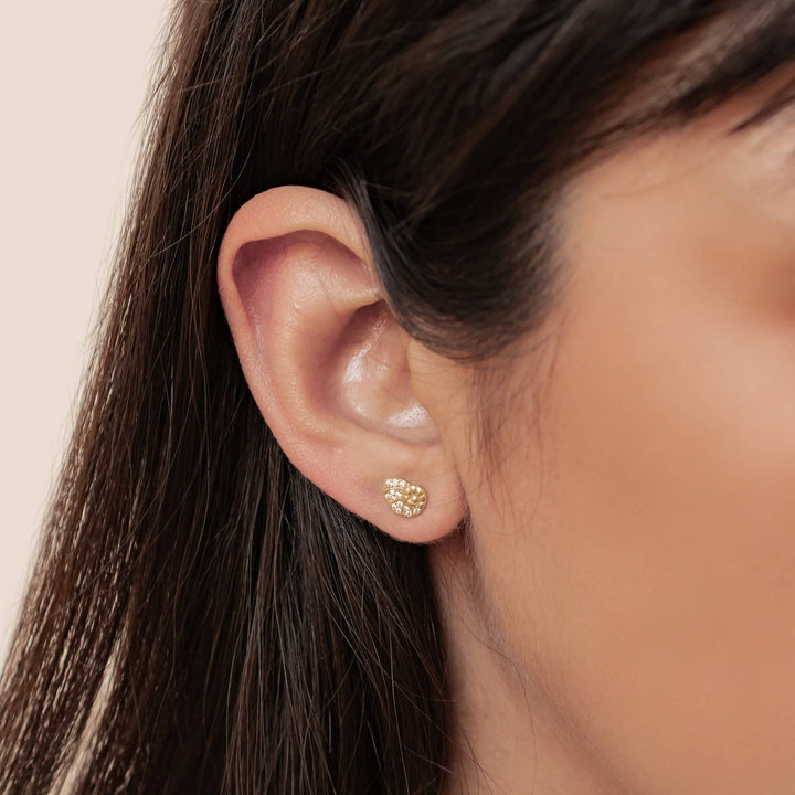 Pendientes Botón Concha Espiral Brillo Plata de Ley 925