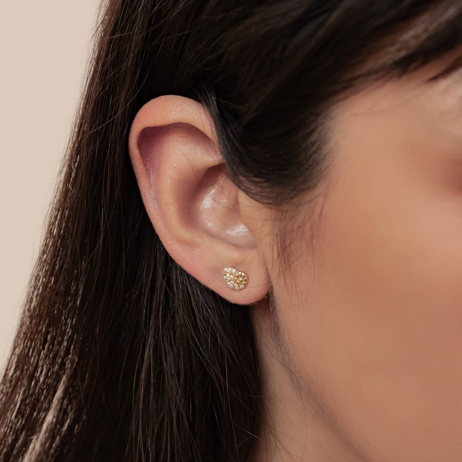 Shell Swirl Sparkle Stud Earrings Sterling Silver