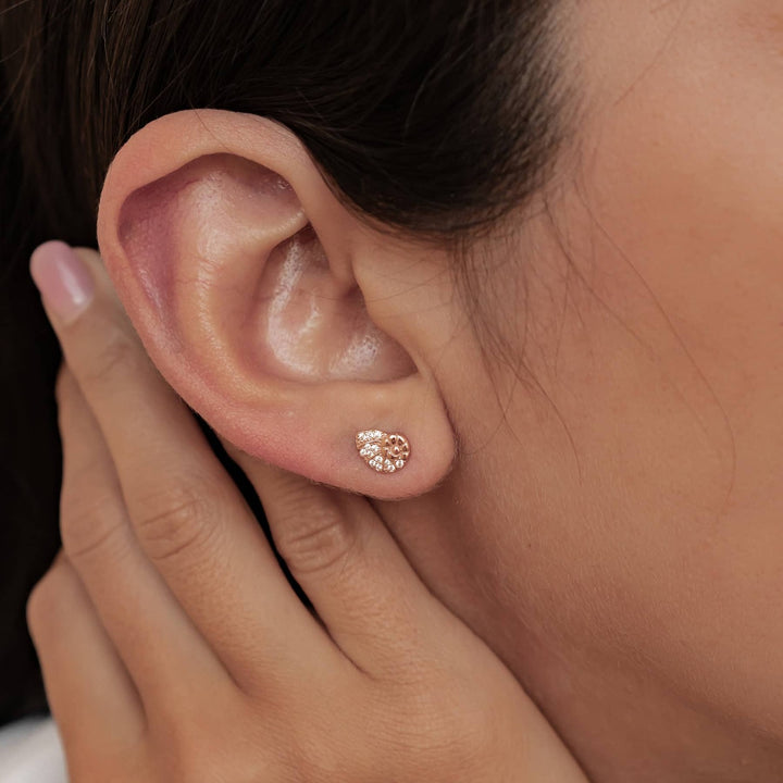 Pendientes Botón Concha Espiral Brillo Plata de Ley 925