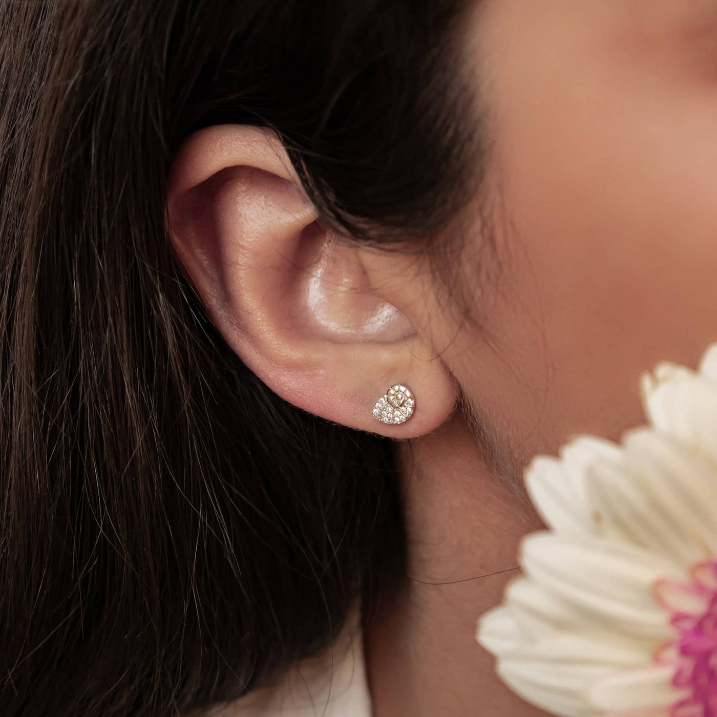 Muschel Swirl Sparkle Ohrstecker Sterling Silber