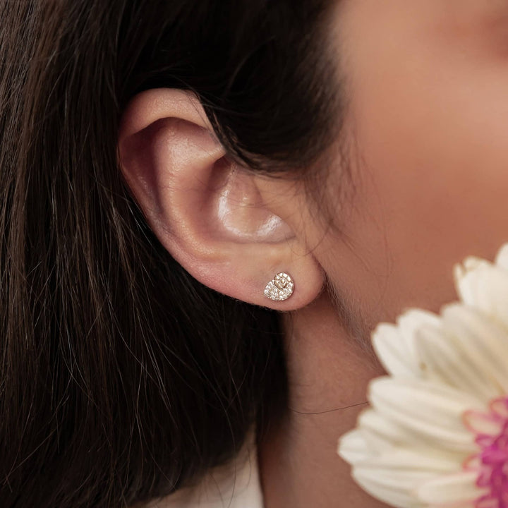 Pendientes Botón Concha Espiral Brillo Plata de Ley 925