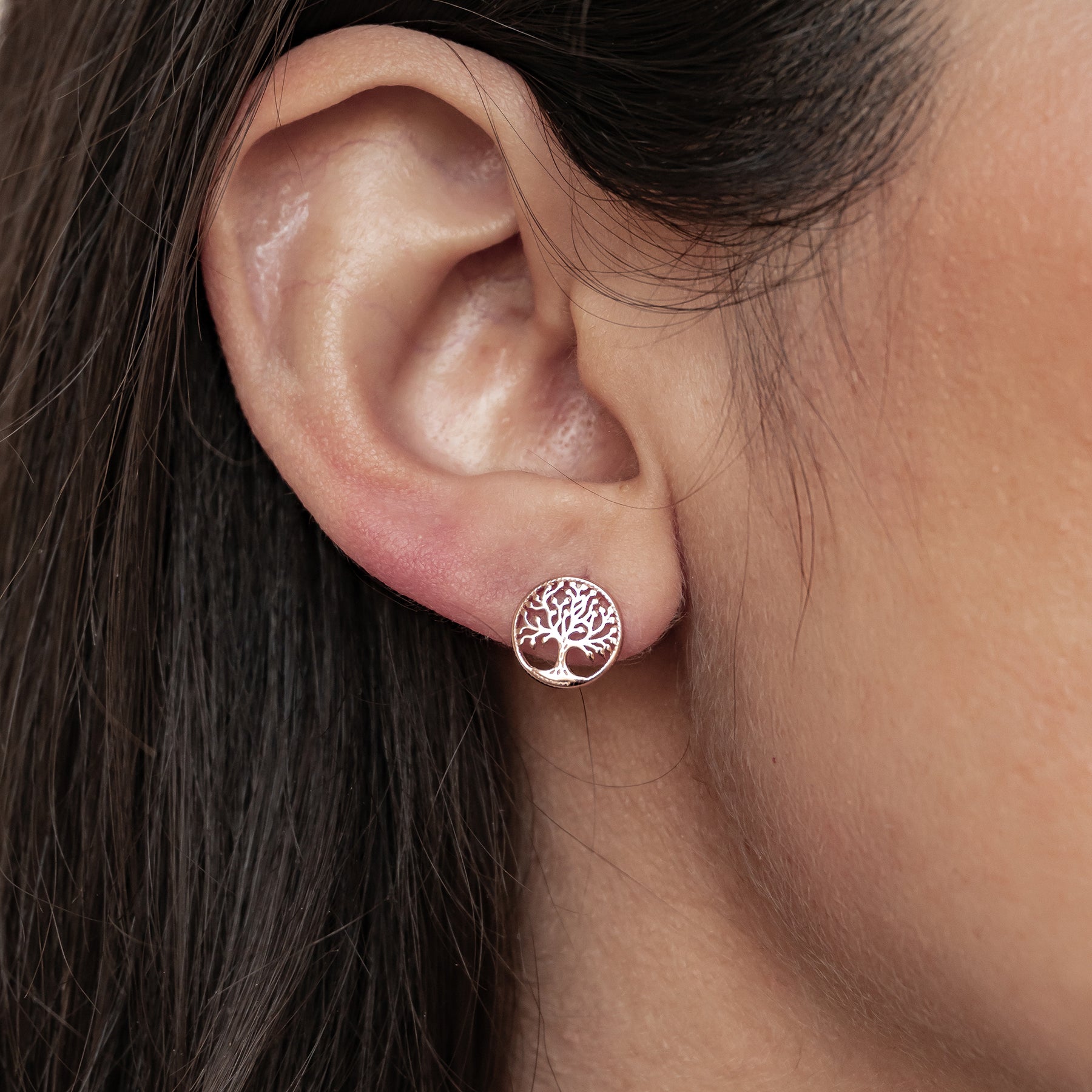 Tree of Life Stud Earrings Sterling Silver