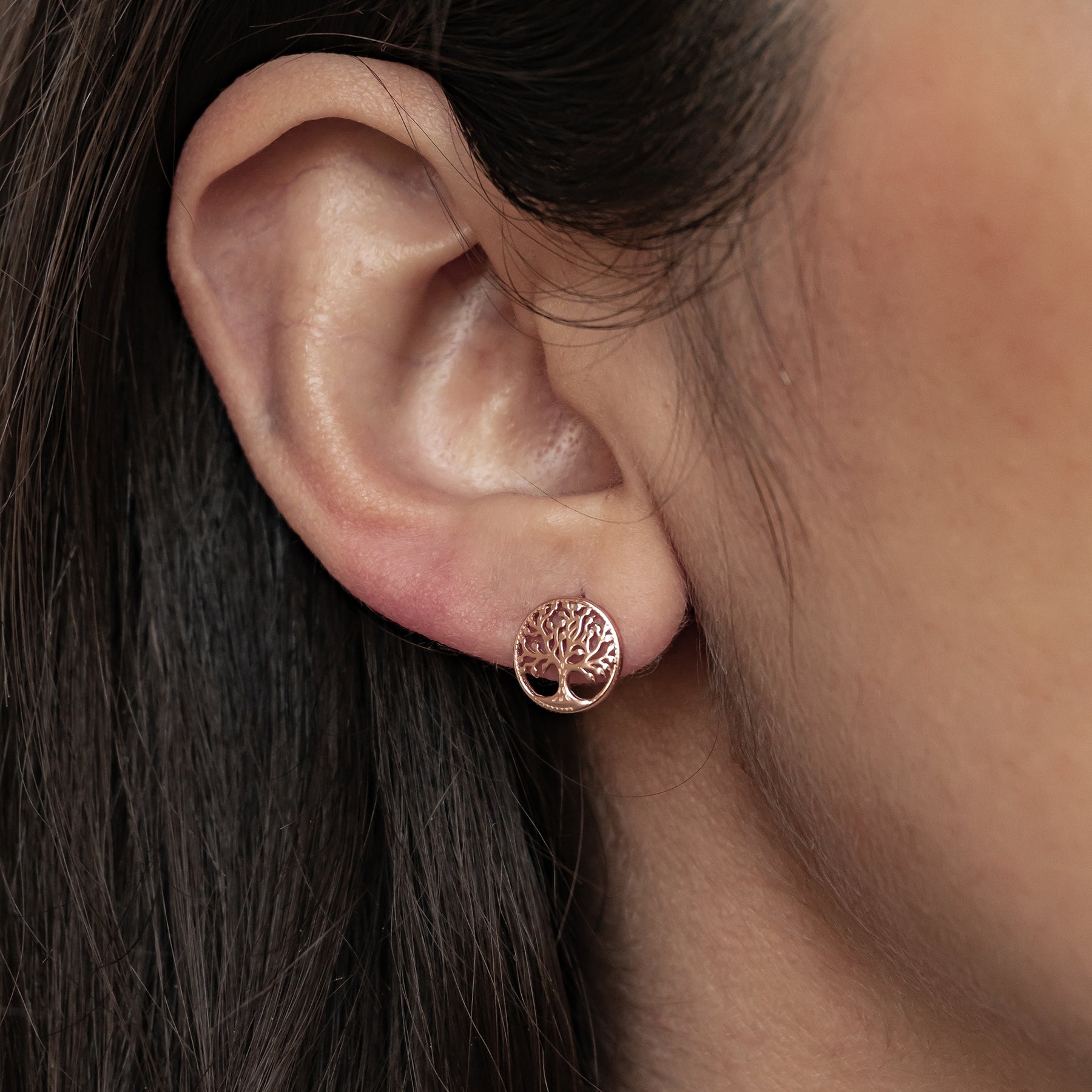 Tree of Life Stud Earrings Sterling Silver