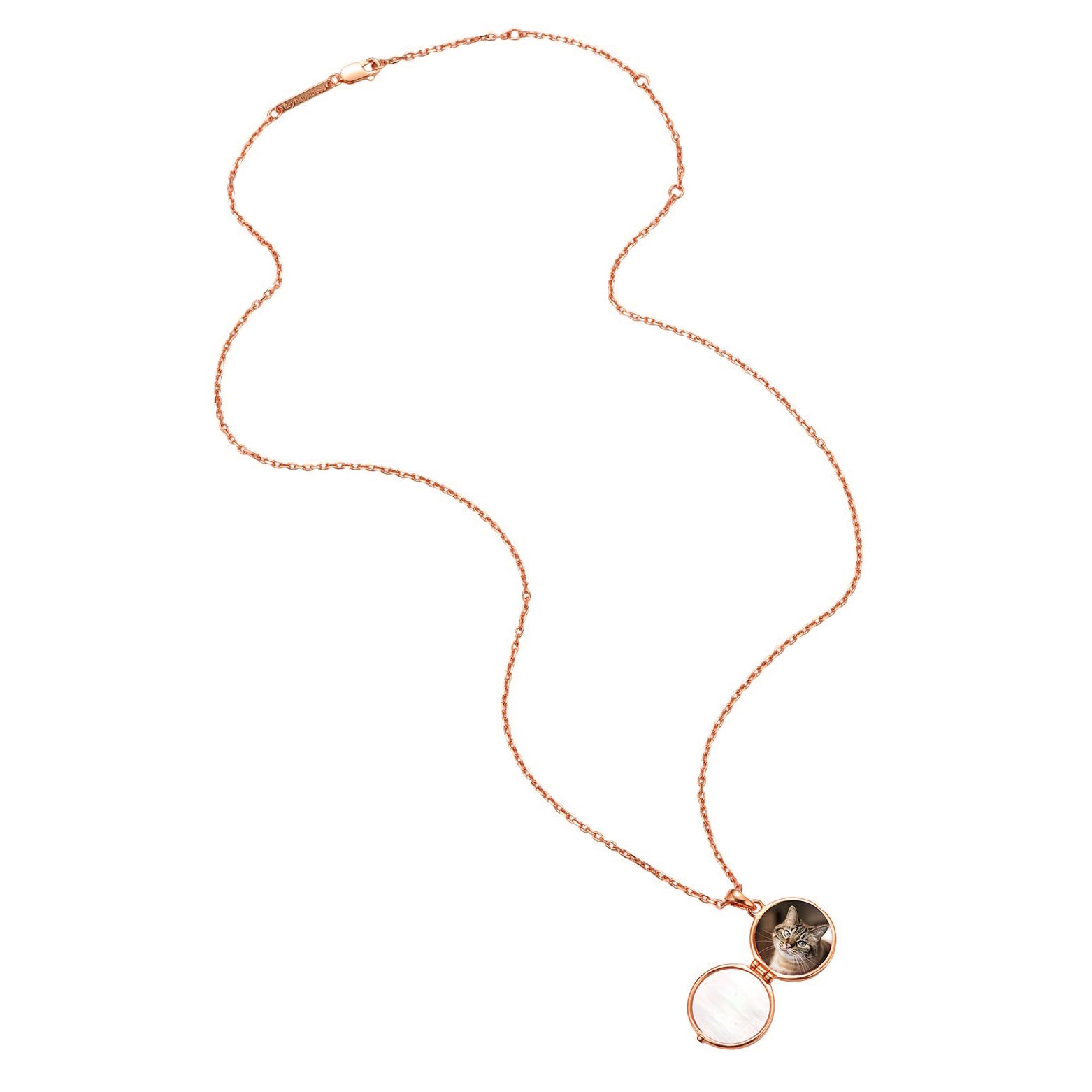 Zwillingsschwan Herz Medaillon Halskette 925 Sterling Silber