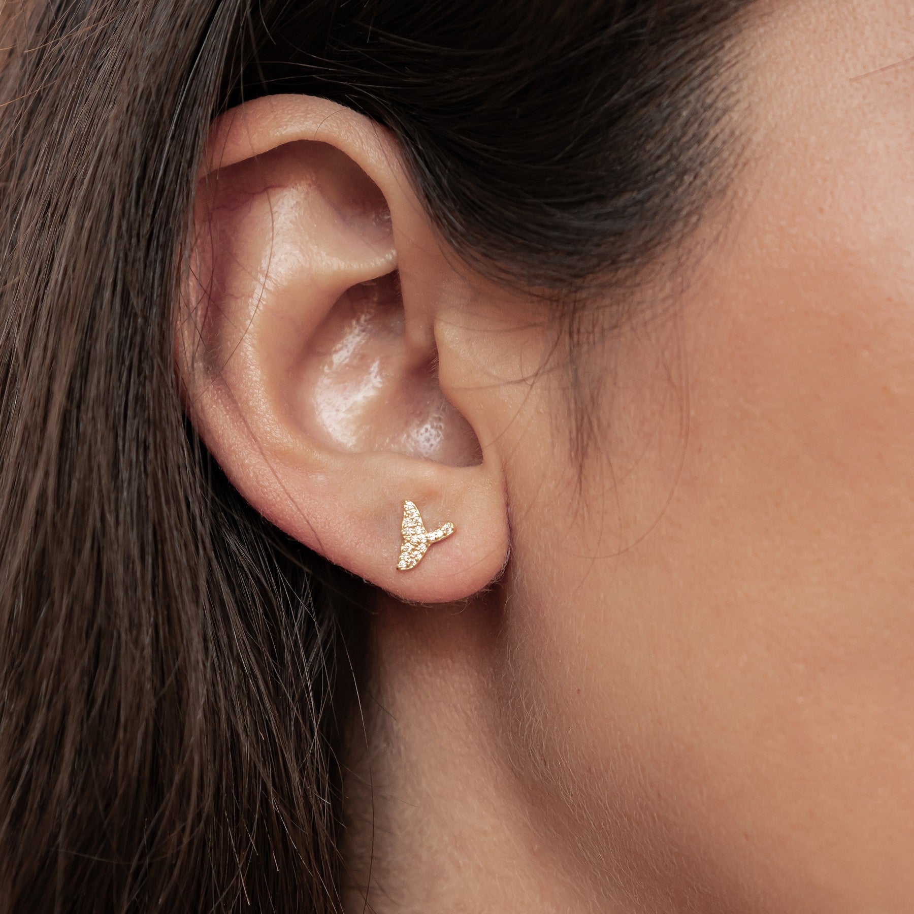 Pendientes Botón Cola Ballena Brillo Plata de Ley 925