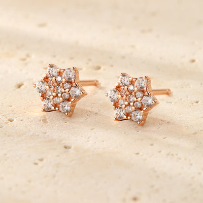Pendientes Botón Flor de Circonitas en Plata de Ley
