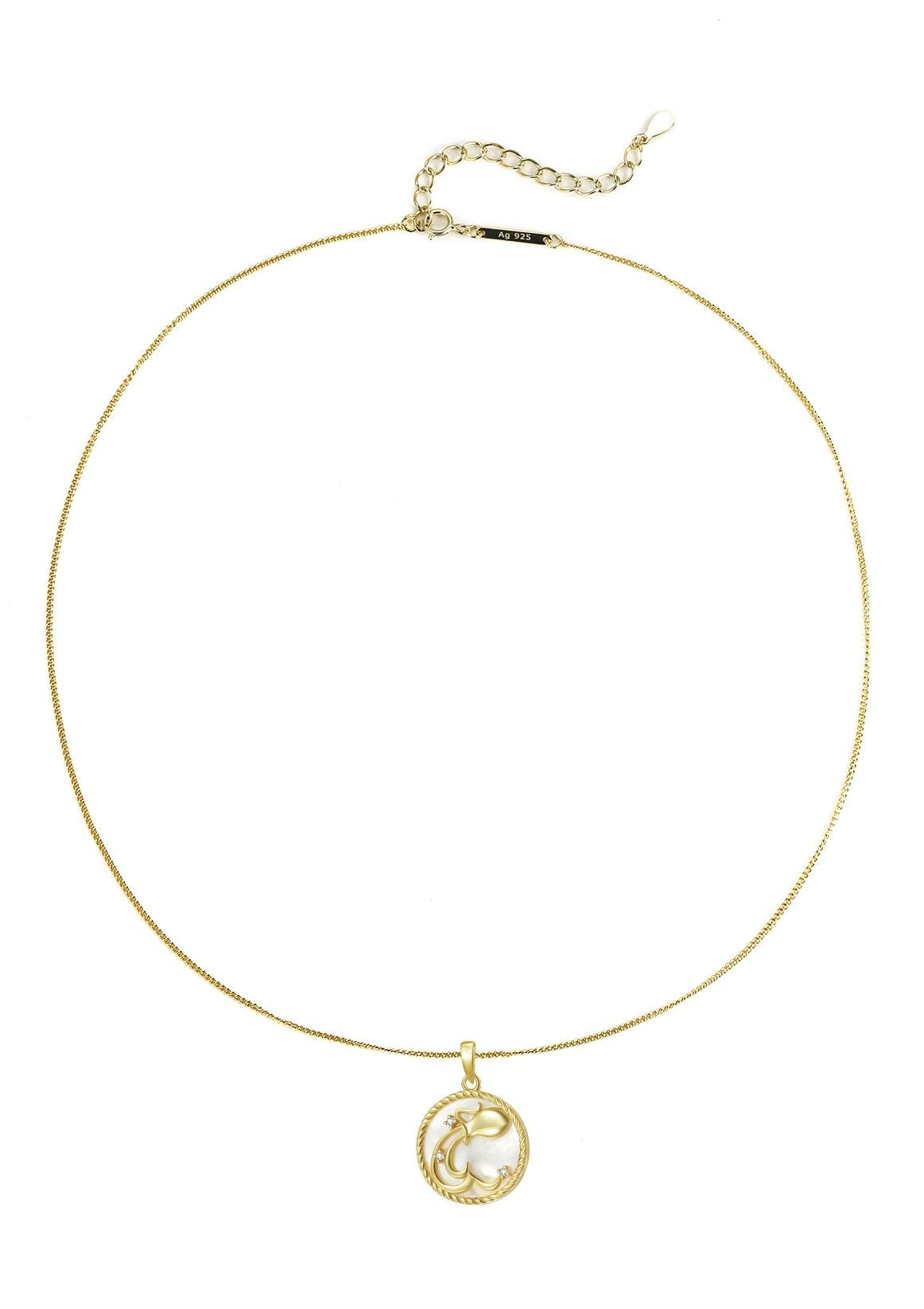 Aquarius Zodiac Pendant Necklace