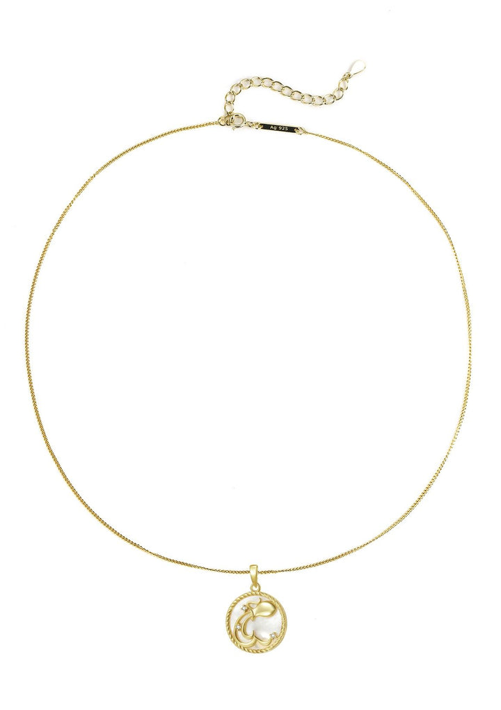 Collar Colgante Acuario Plata de Ley 925