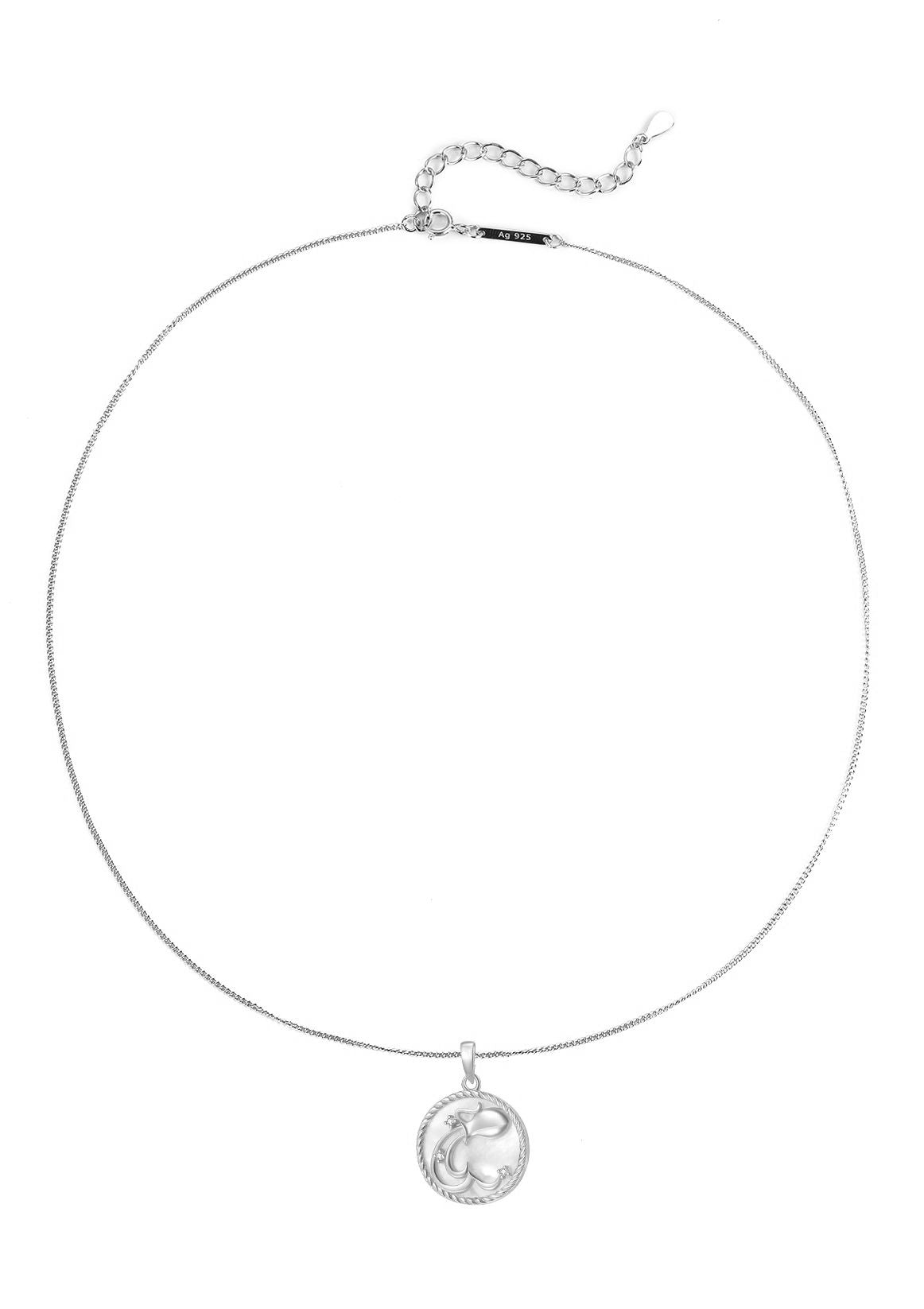 Aquarius Zodiac Pendant Necklace