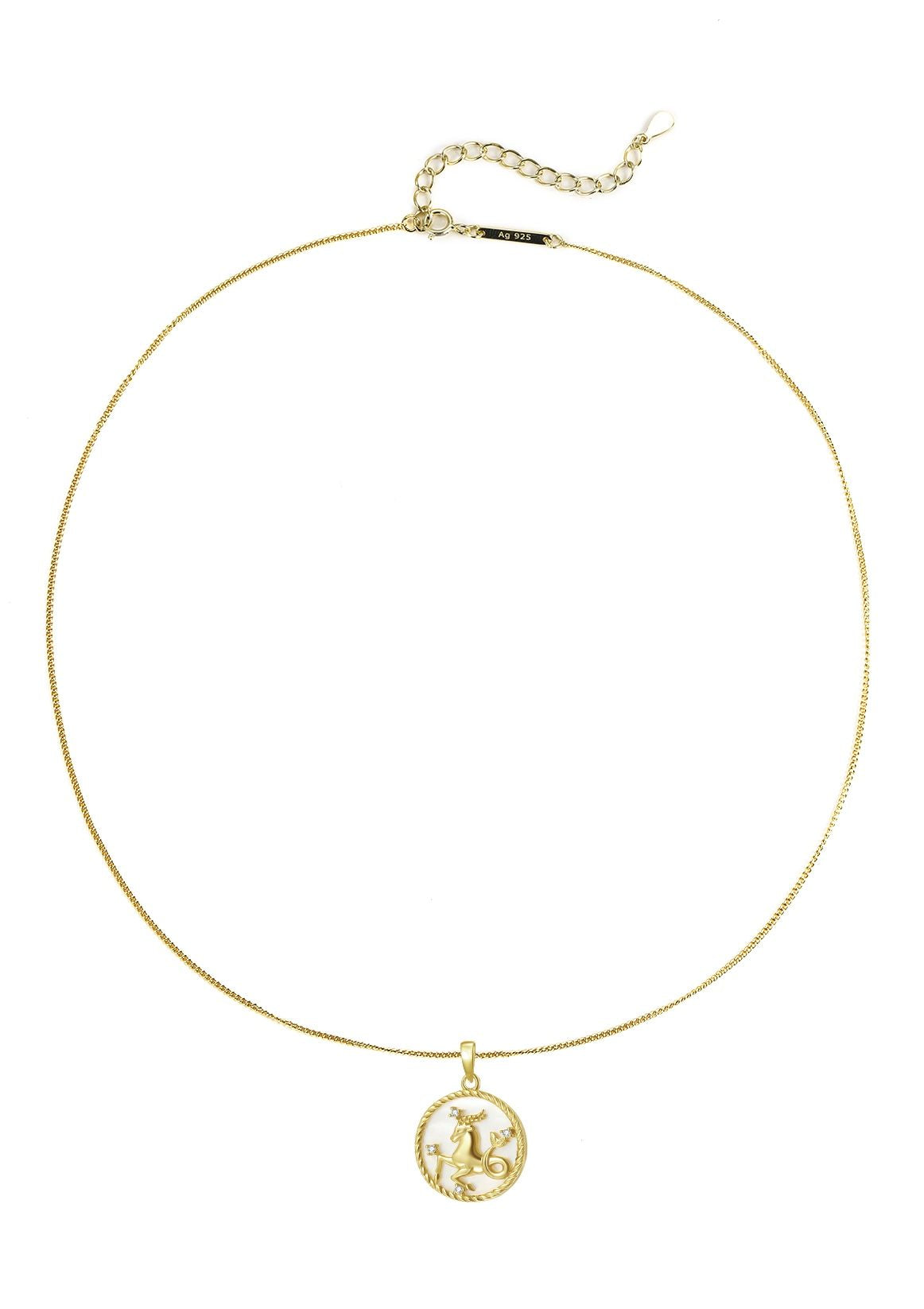 Collier pendentif zodiaque Capricorne