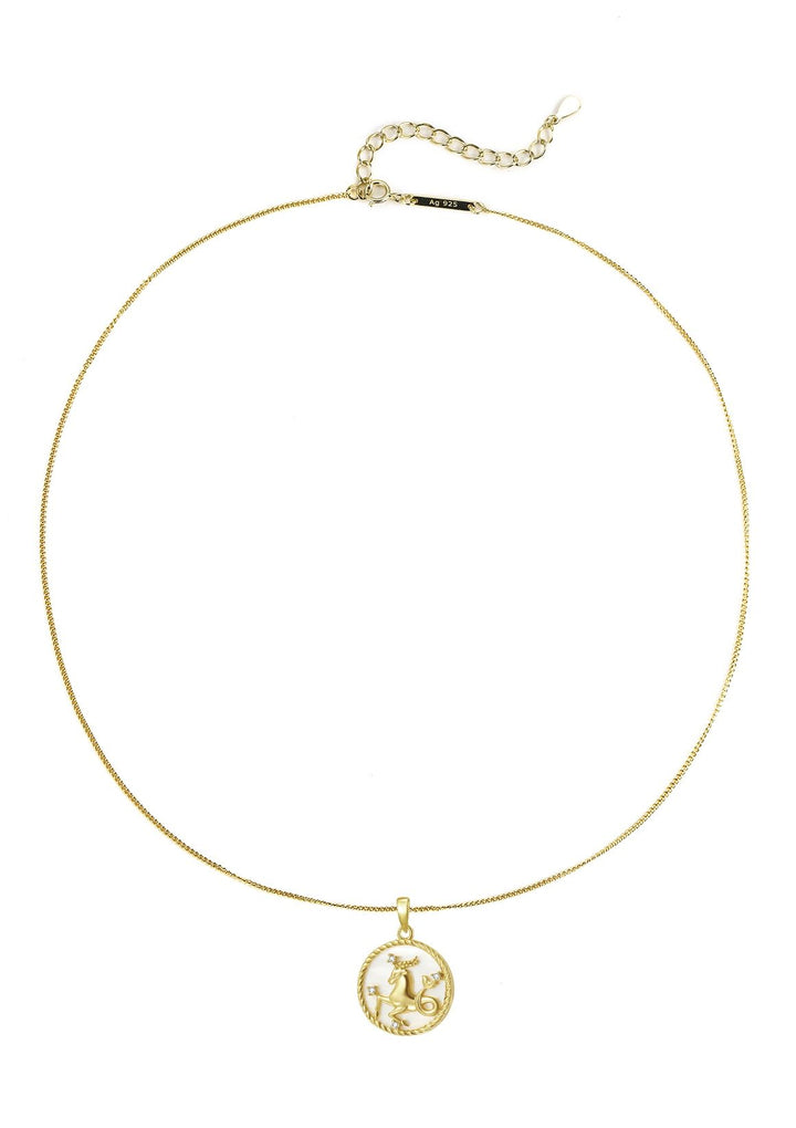 Capricorn Zodiac Pendant Necklace