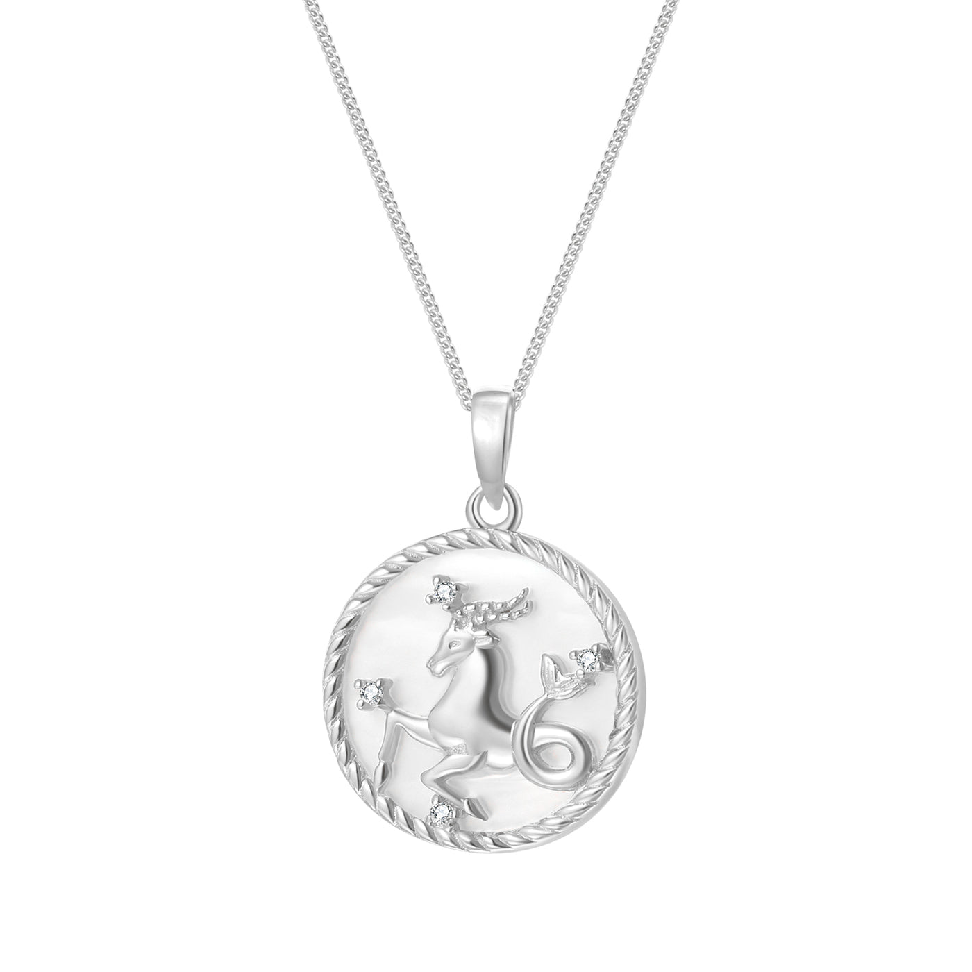 Capricorn Zodiac Pendant Necklace