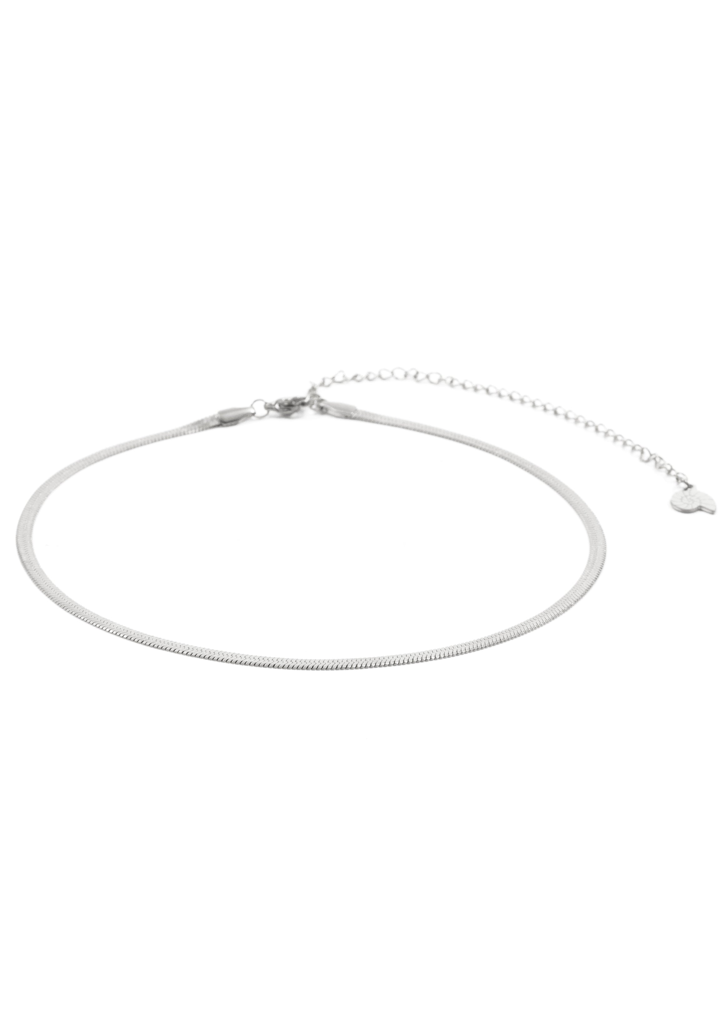 Collar Choker de Cadena Serpiente en Plata