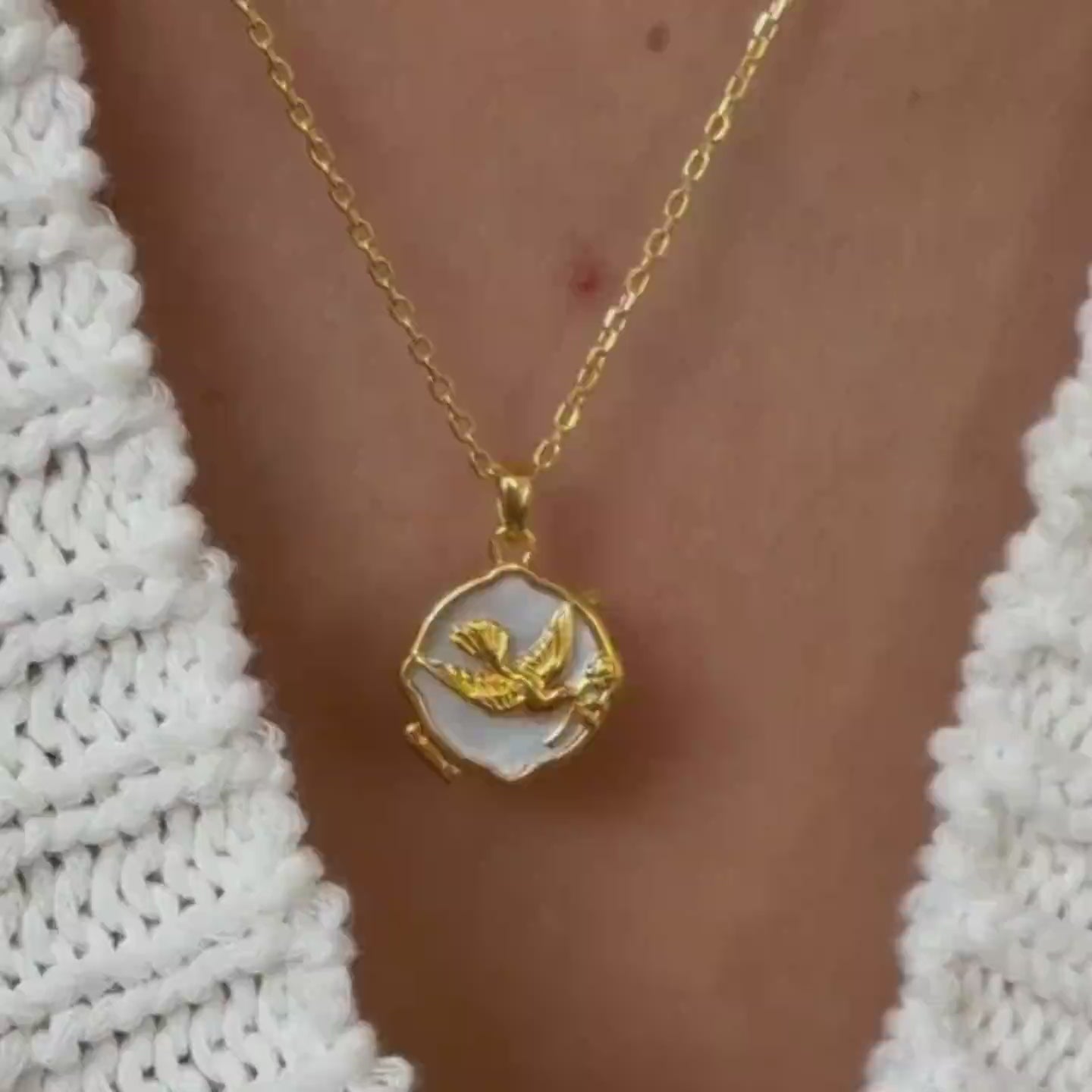 Tauben und Olivenzweig Medaillon Halskette 925 Sterling Silber