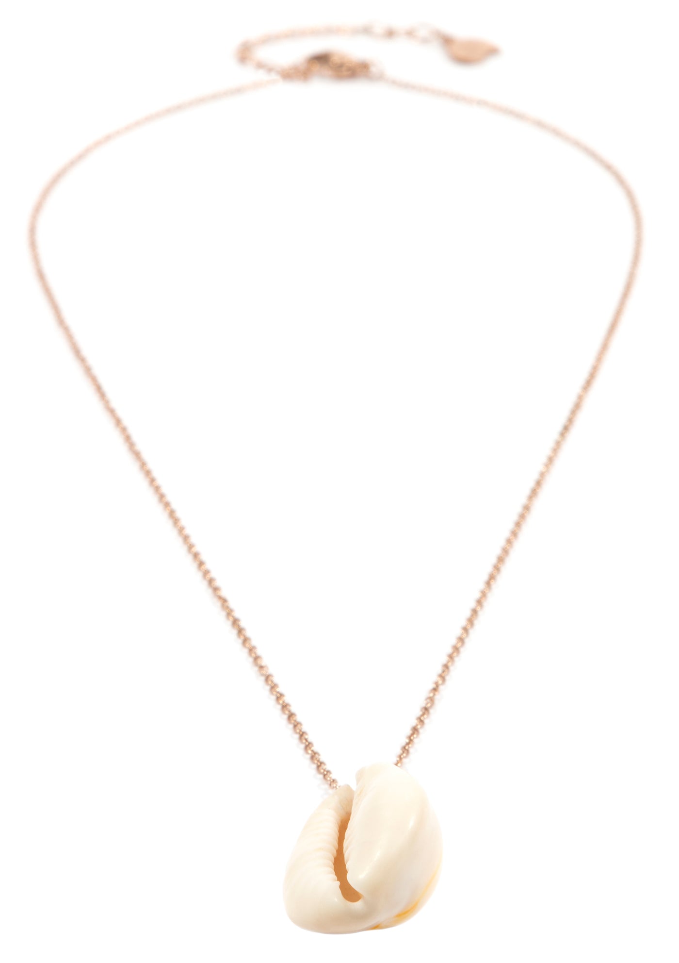 Sea Shell Pendant Necklace Rose Gold
