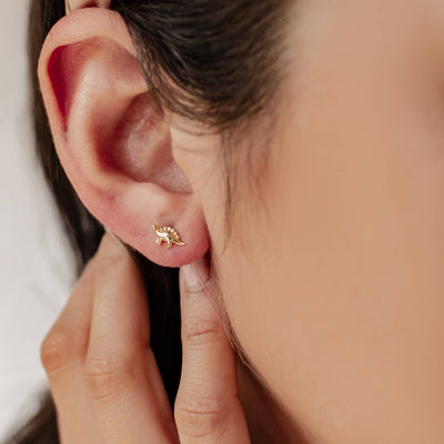 Clous d'Oreille Dinosaure Sterling Argent