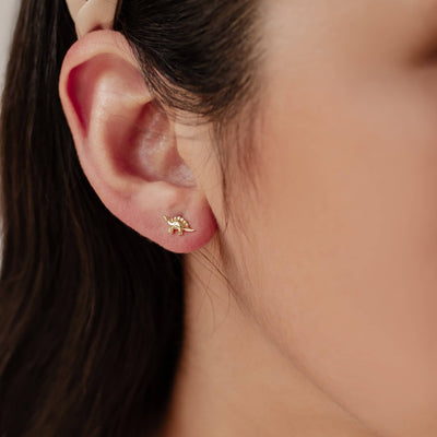 Clous d'Oreille Dinosaure Sterling Argent