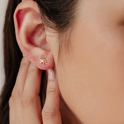 Clous d'Oreille Dinosaure Sterling Argent