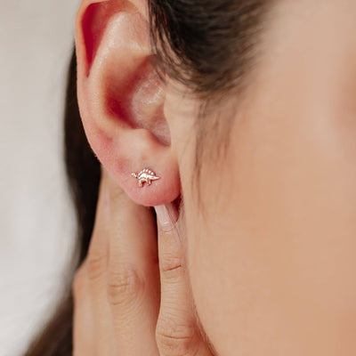 Clous d'Oreille Dinosaure Sterling Argent