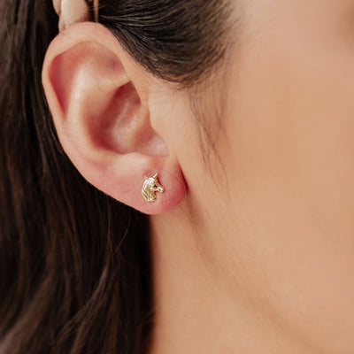 Clous d'Oreille Licorne Sterling Argent