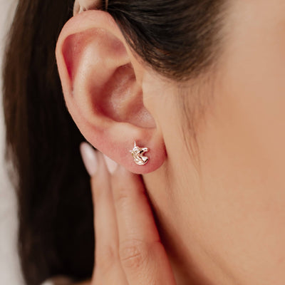 Clous d'Oreille Licorne Sterling Argent