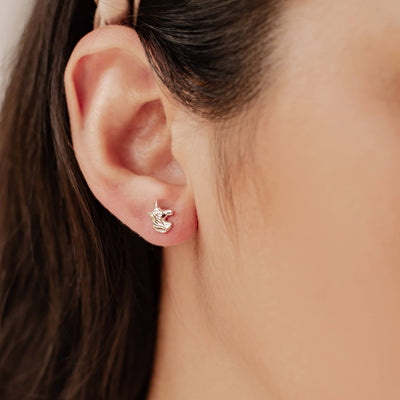 Clous d'Oreille Licorne Sterling Argent