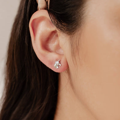 Clous d'Oreille Licorne Sterling Argent