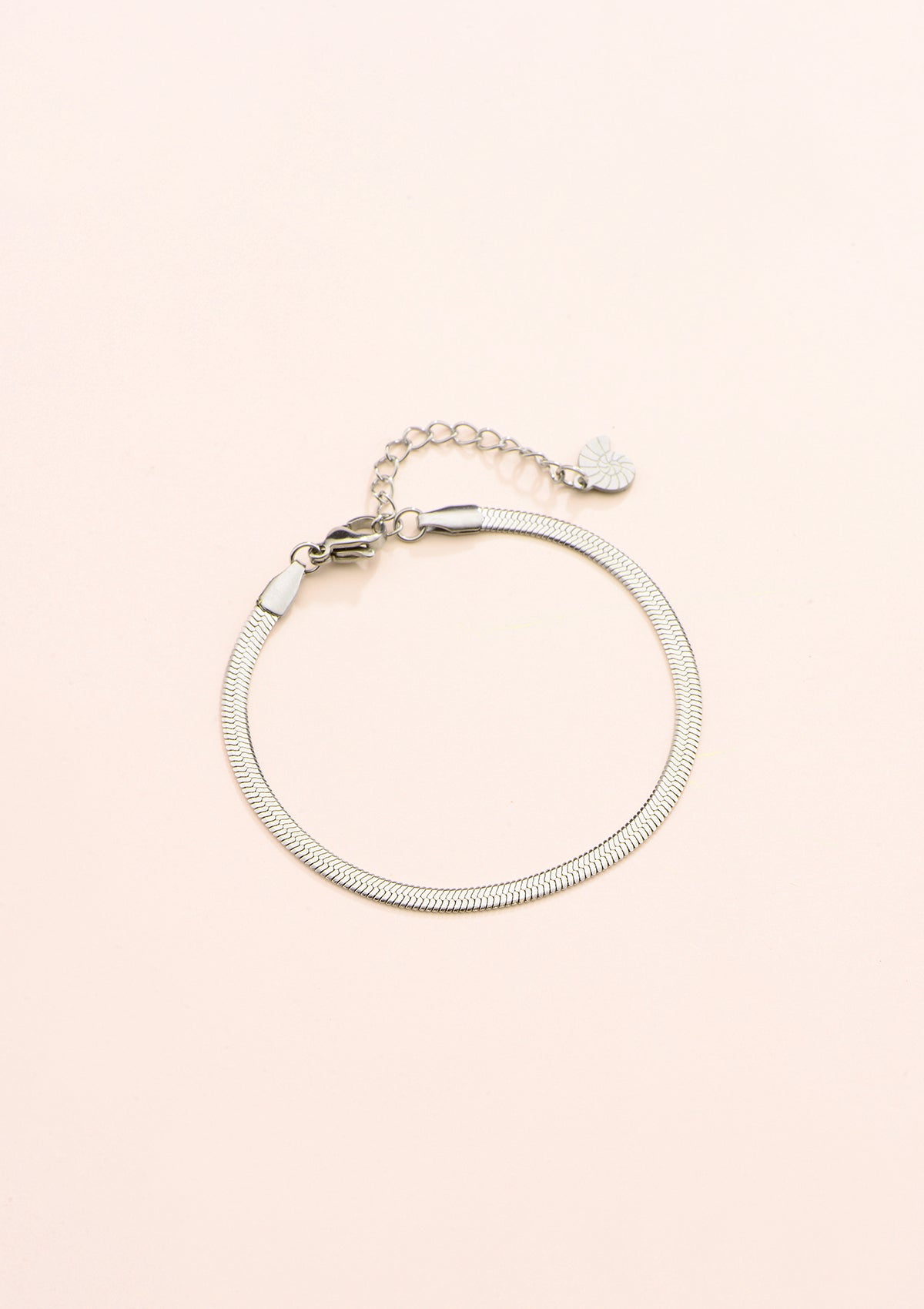 Bracelet Chaîne Serpent en Argent